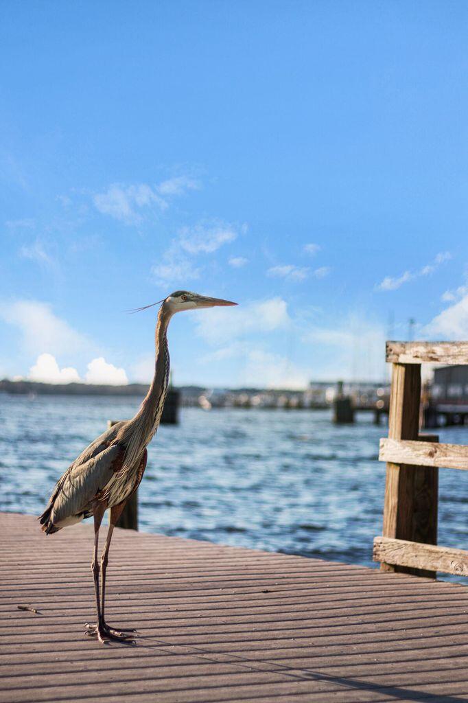 SWIFT CREEK PH 4 - Residential