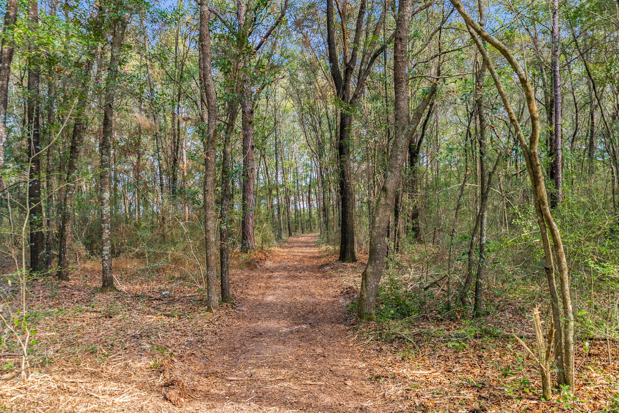 Holley Family Property Ph 2 - Land