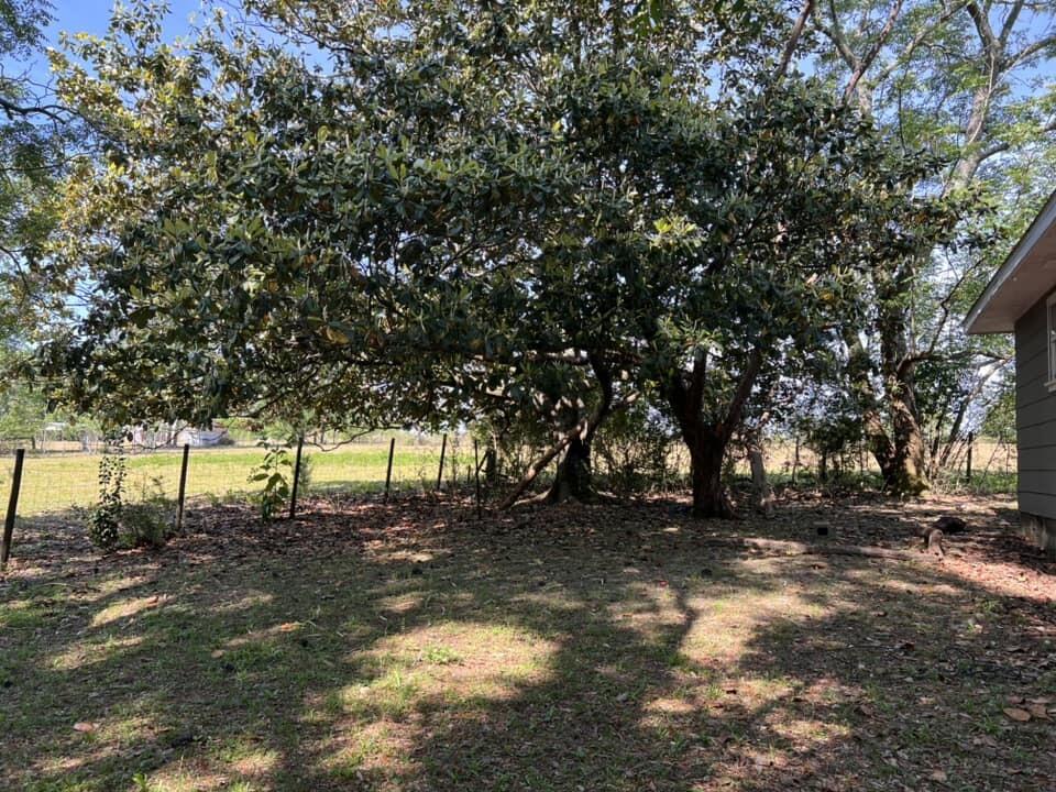 Liberty - Residential