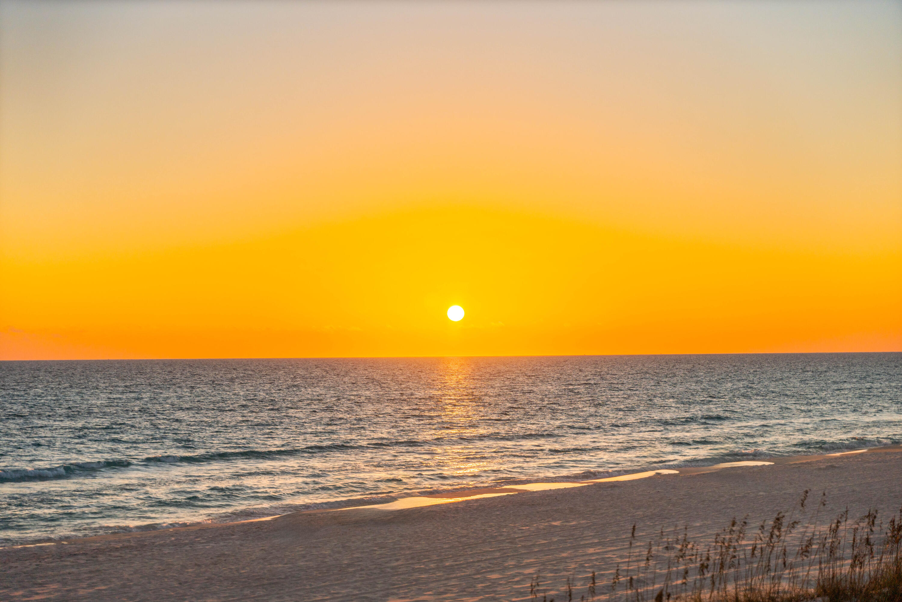 SEAHAUNTS - Residential