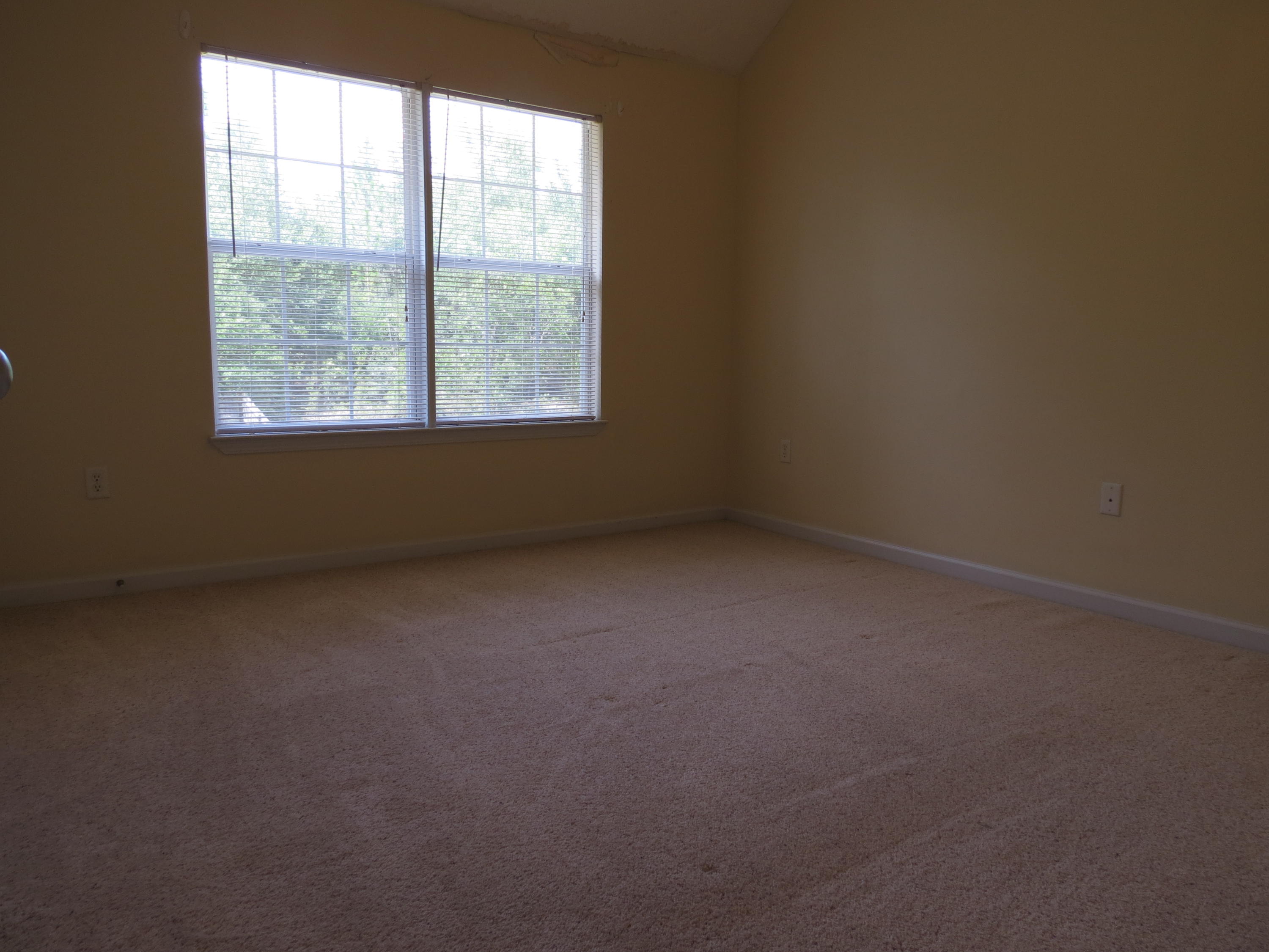 LAKE SILVER 1ST ADDN - Residential