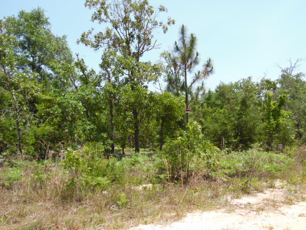1 Acre just outside of the city of DeFuniak Springs. This lot is just a short drive to Eglin AFB and the beach.Call to scheduled an appointment today.
