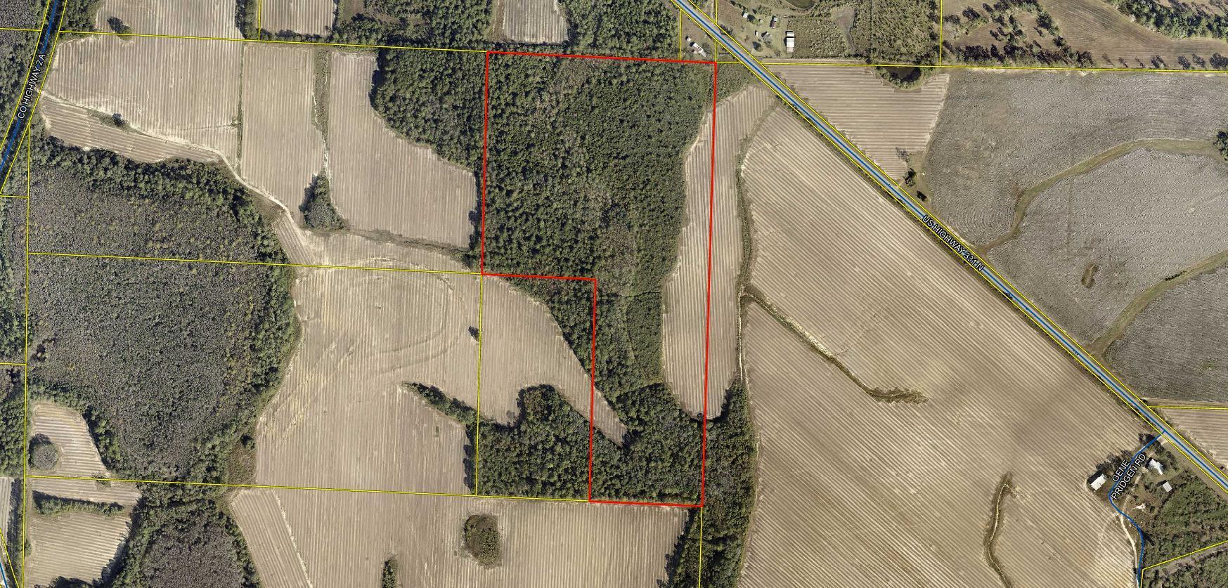 60.95 recently surveyed with timber and creek. Property is land locked and is located behind 13325 Hwy 331 N- brick home.
