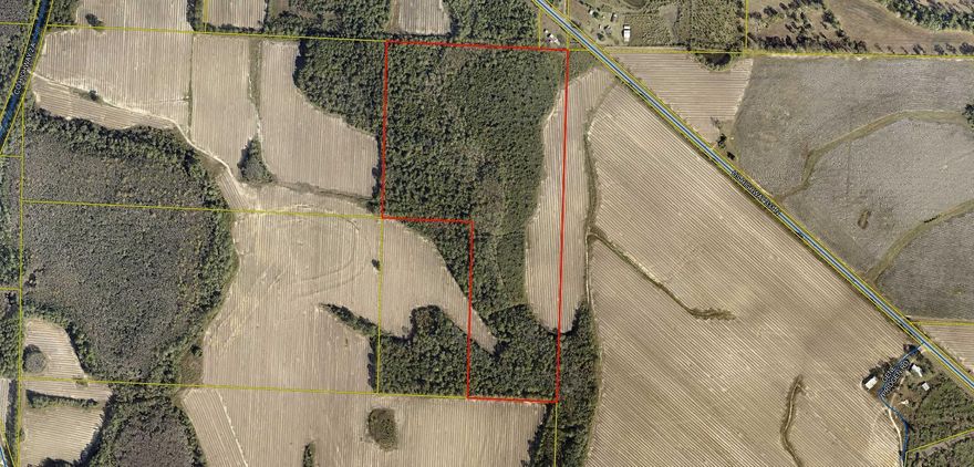 60.95 recently surveyed with timber and creek.  Property is land locked and is located behind 13325 Hwy 331 N- brick home.