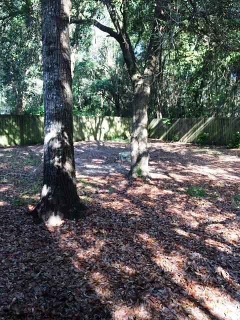 HOMESTEAD MANOR S/D - Residential