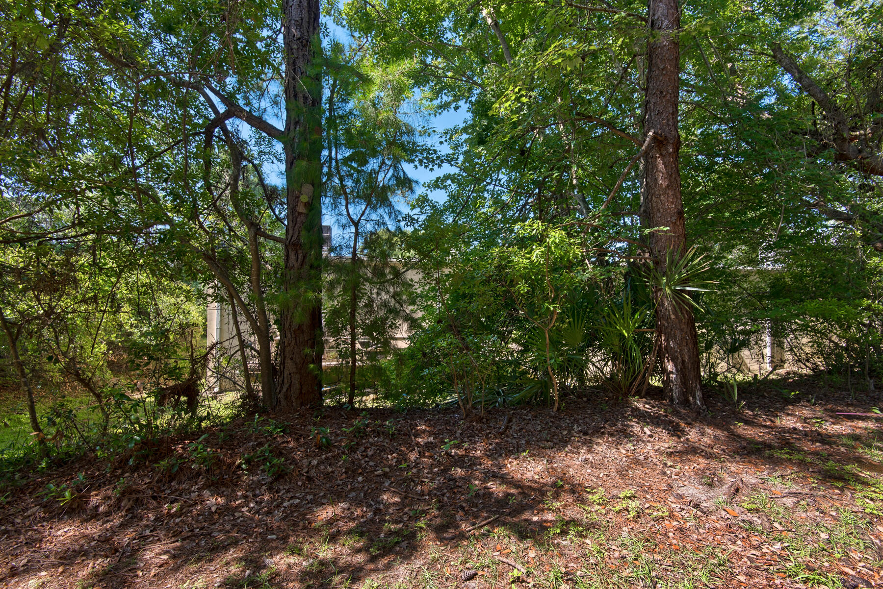 Heron's Watch PH 6 - Residential