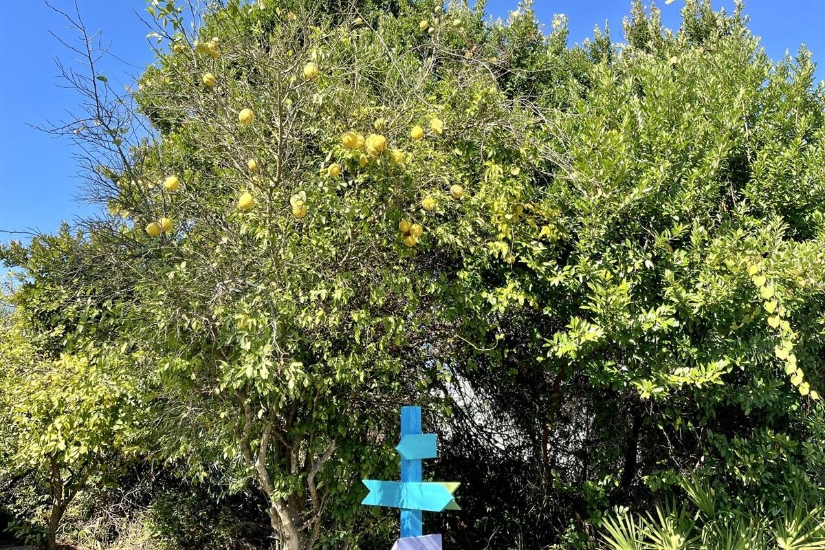 Wells Gulf Beach Estates - Residential