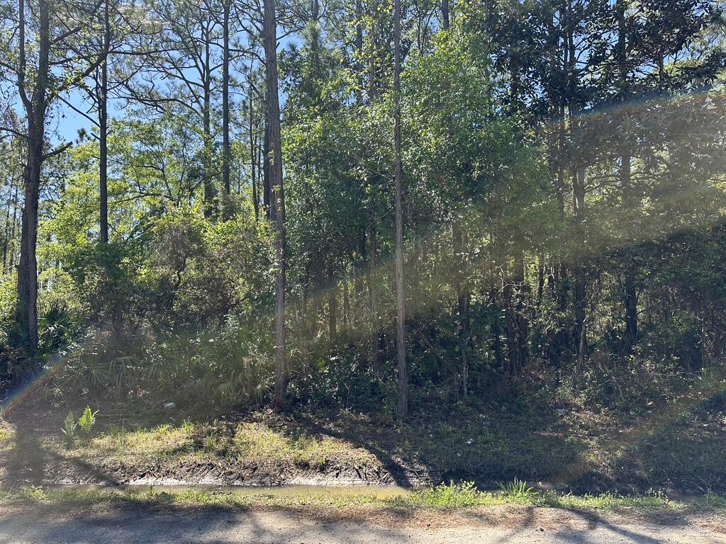 TOWN OF SANTA ROSA - Land