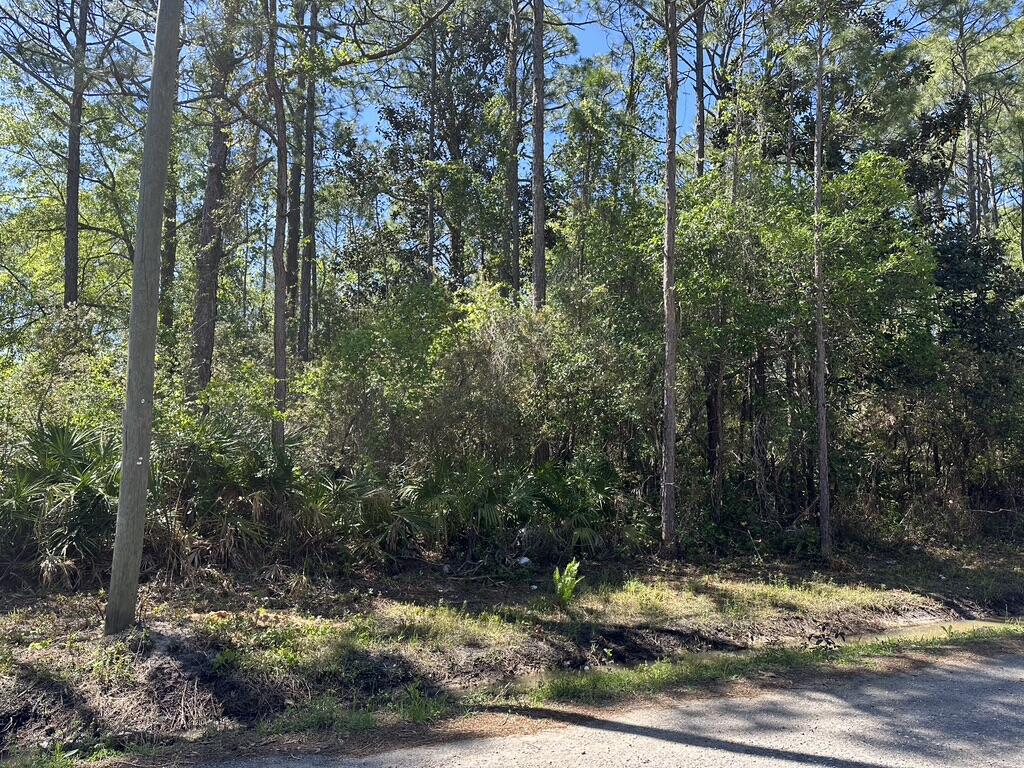 TOWN OF SANTA ROSA - Land