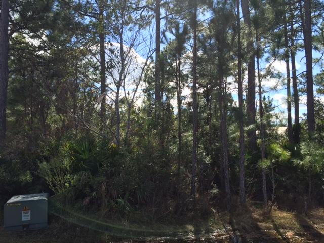 Large lot in a desirable cul-de-sac location within the gated community of Pelican Bay. Excellent amenities include tennis courts, picnic area and a private access to a bay front pier! Pelican Bay is only a short drive from Sacred Heart Hospital as well as the Grand Boulevard shopping and entertainment complex. The sugar white beaches of South Walton are just minutes away. A great opportunity to experience the lifestyle Pelican Bay can offer! Call for gate code.