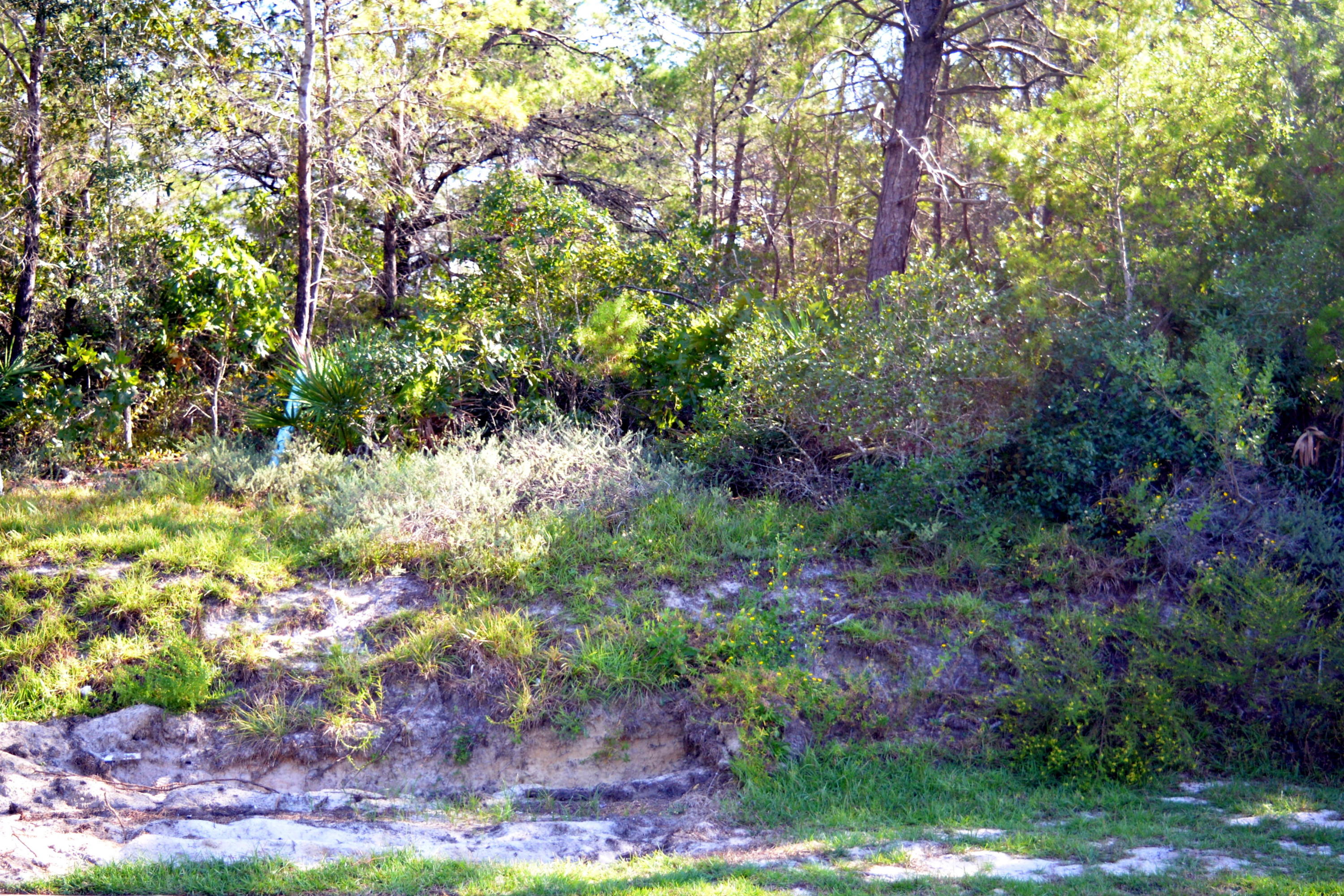 FRANGISTA BEACH 2ND ADDN - Land