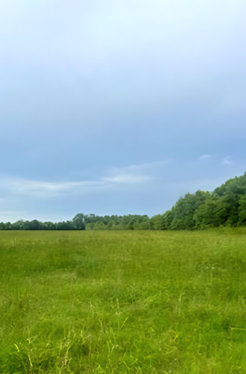Build your homestead or mini ranch on this is it 16 acres cleared land just 8 1/2 miles north of DeFuniak Springs. This property offers peace and tranquility. It is situated on a paved road which is a big plus for rural living in North Walton County. Electricity is available, it will require a septic tank as a well. From this location you can entertain guest or family at Lake Jackson which is a matter of 15 minutes away just north of this property. Enjoy boating, fishing, skiing and picnic areas. More good news it is appx. 45 minutes to the sandy white beaches of South Walton County. New survey attached under document tab.