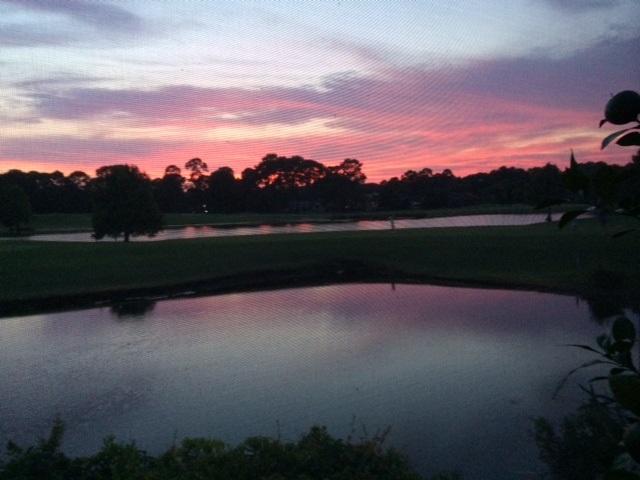 PRESTWICK PLACE - Residential