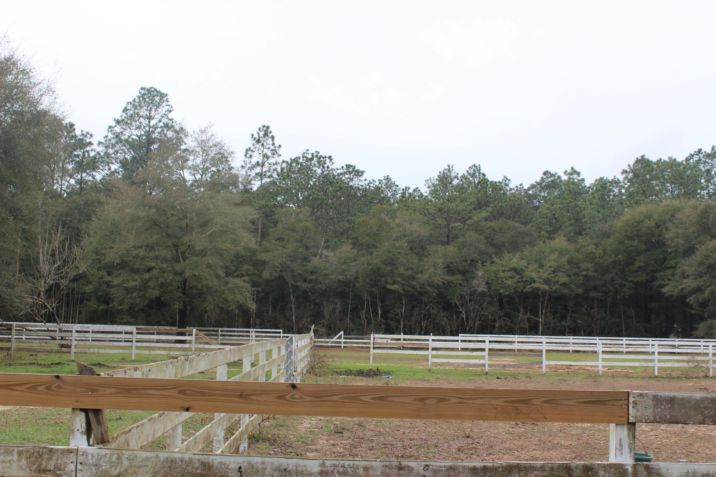 METES & BOOUNDS - Residential