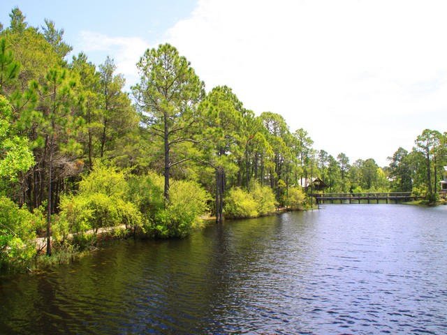 FOREST LAKES PH II - Land