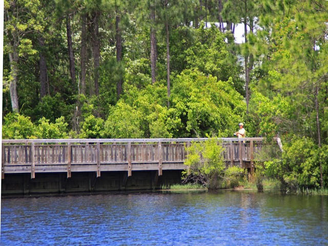 FOREST LAKES PH II - Land