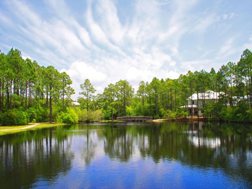 Forest Lakes is Old Florida rediscovered. As per developer, this lot has been described as the best lot in the community of Forest Lakes. This beautiful wooded lake front lot is adjacent to the community park, connected to the bridge that leads to another community lot next to the pool. Preserves are to the south of the lot where nothing will ever be built on. Assets to this property is that it has an east-west rotation with an additional strip not mentioned in the 45 x 160 dimensions that could be used for a driveway to the side of the lot. Forest Lakes borders a state forest & homes are built with a deep respect for native flora. Each home site meticulously preserves as much old growth as possible in Forest