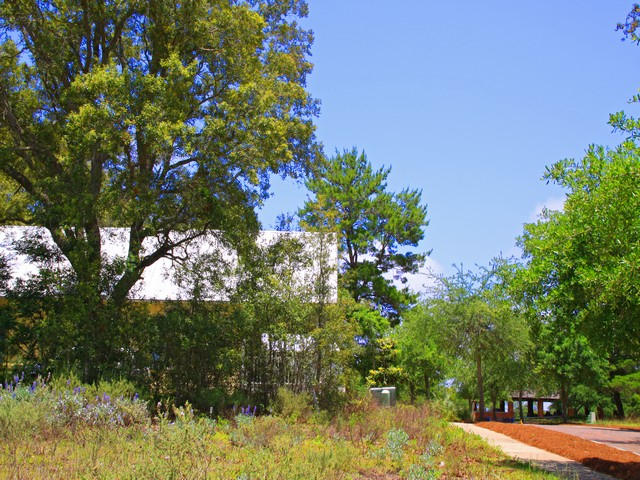 FOREST LAKES PH II - Land