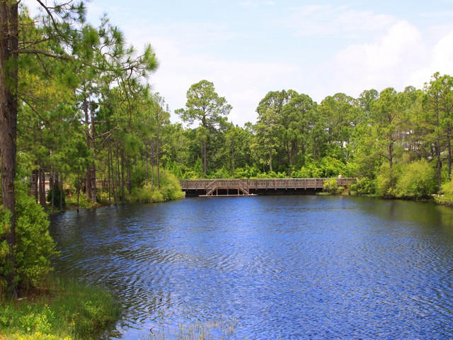 FOREST LAKES PH II - Land