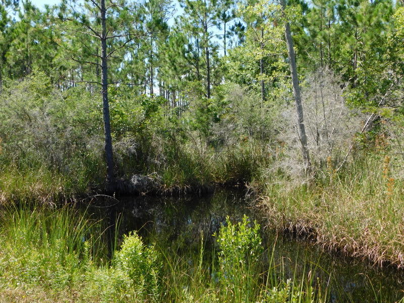 SANTA ROSA BEACH - Residential