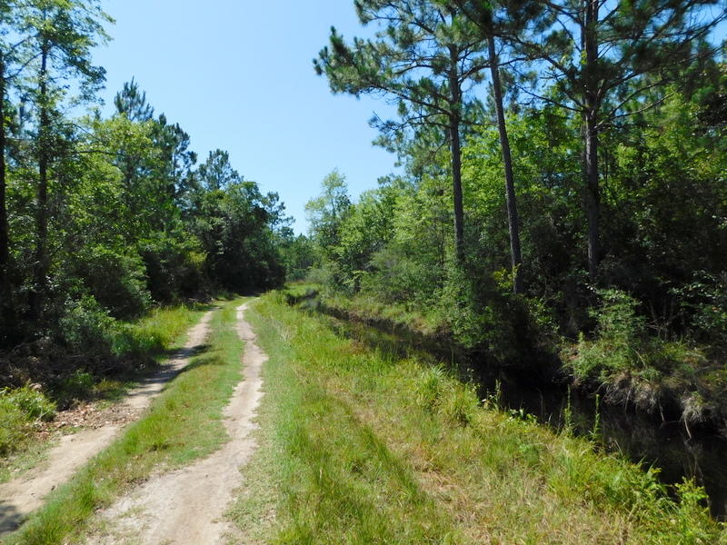 SANTA ROSA BEACH - Residential