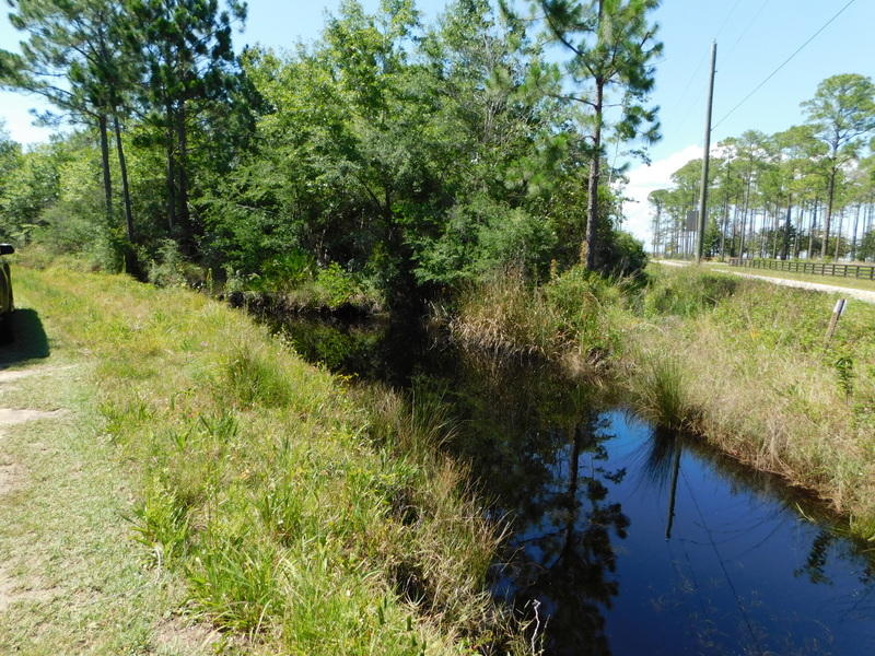 SANTA ROSA BEACH - Residential