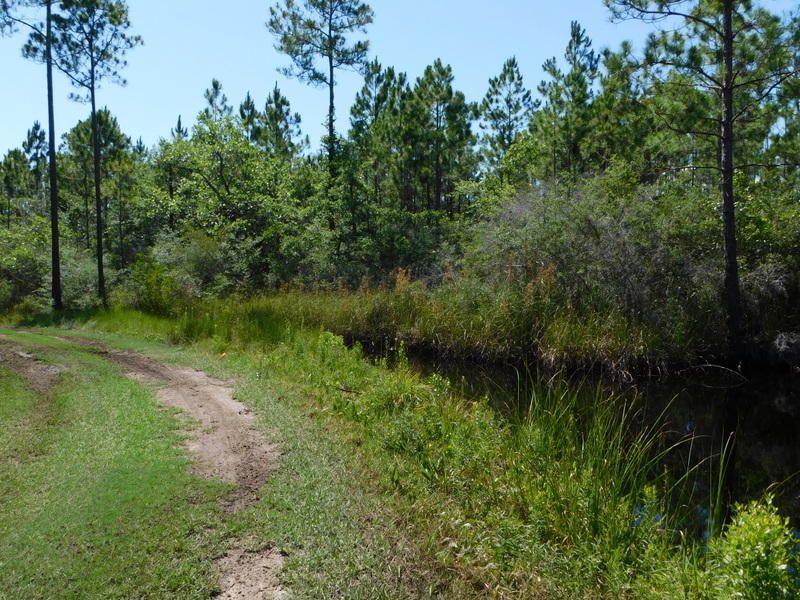 SANTA ROSA BEACH - Residential