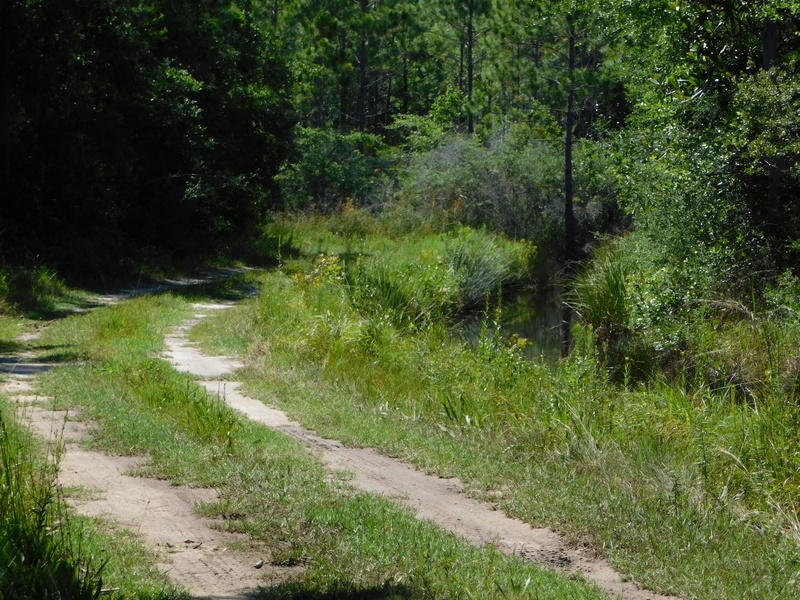 SANTA ROSA BEACH - Residential