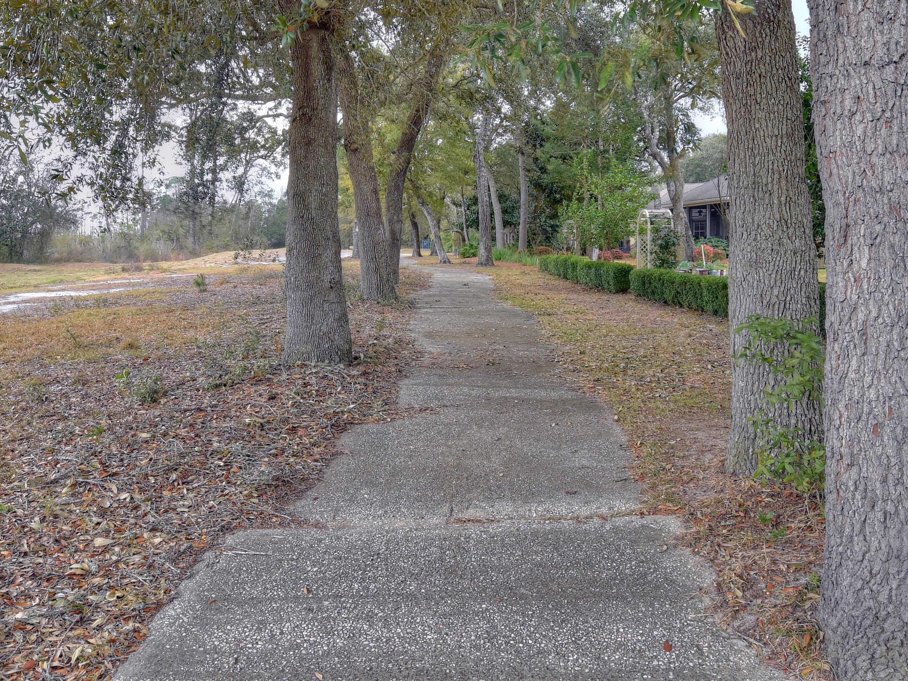 MAGNOLIA FOREST S/D - Residential