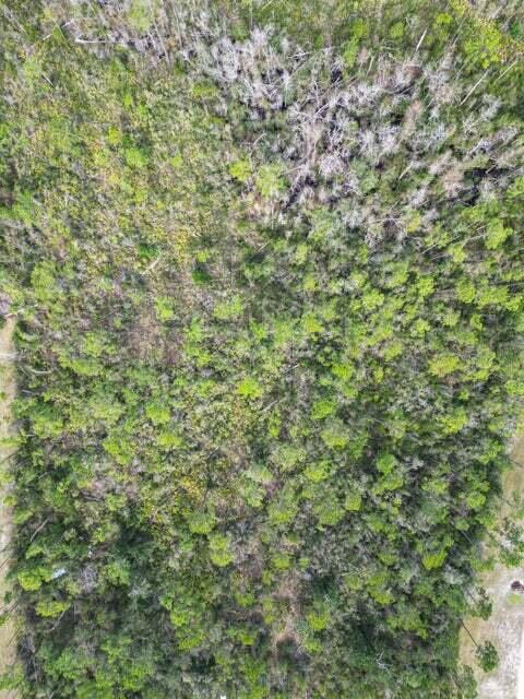 NO RECORDED SUBDIVISION - Land