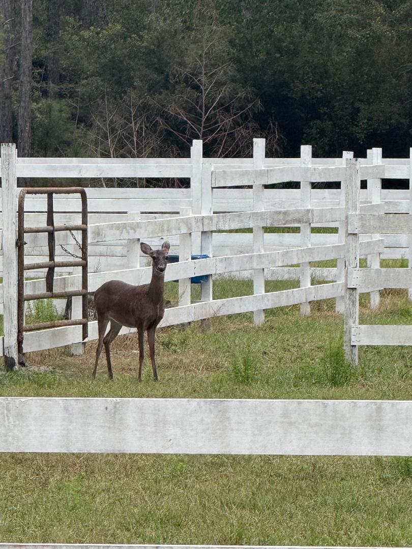 Farm Property 10 acre tract Residential - Residential