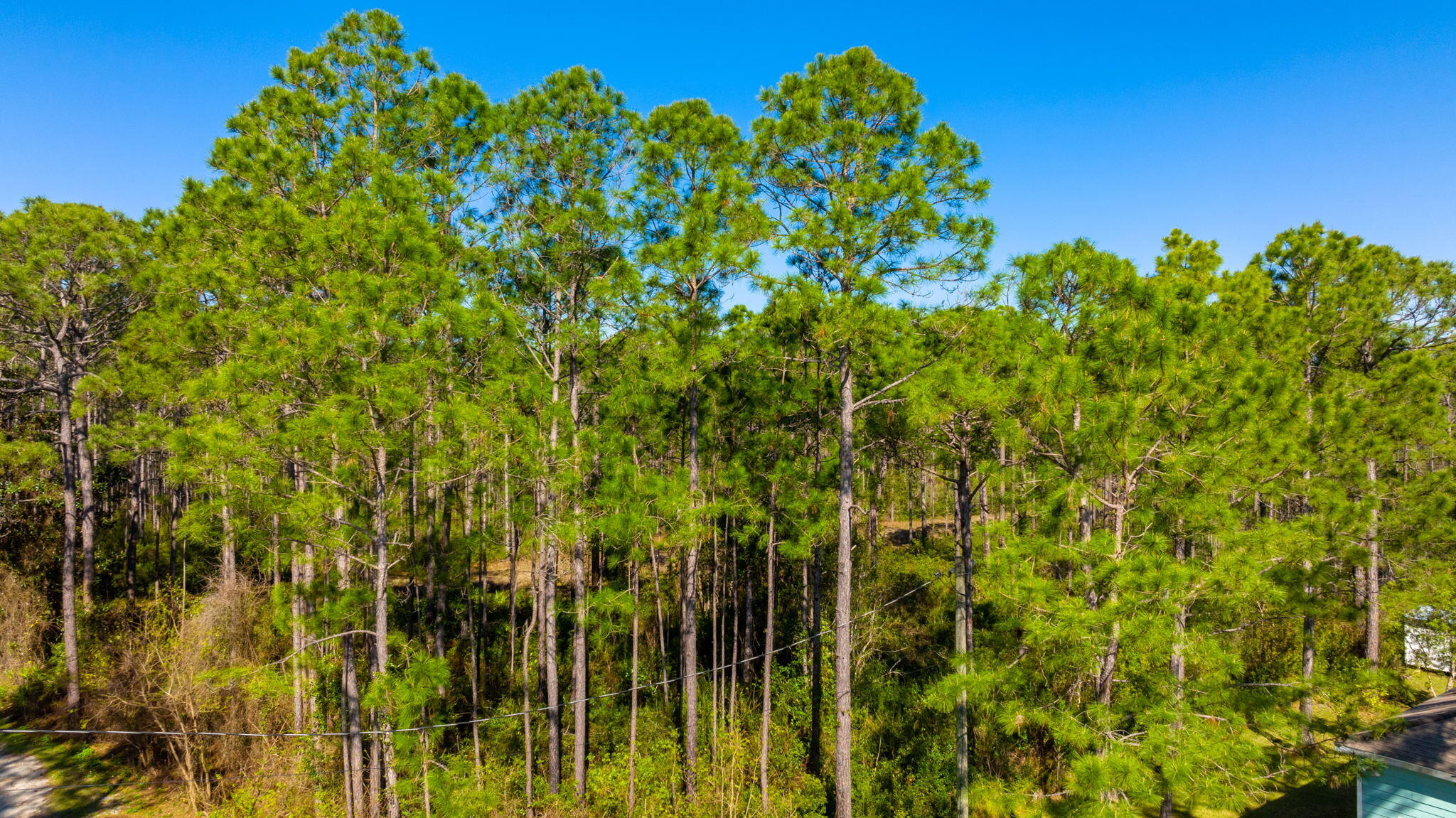 BAY SHADOW ESTATES - Land