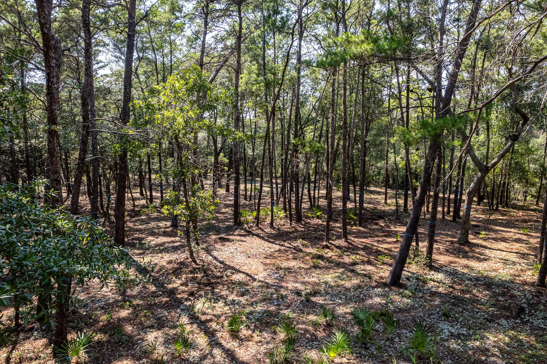 Panama City Beach, Florida 32413, United States, ,Land,Active,71545