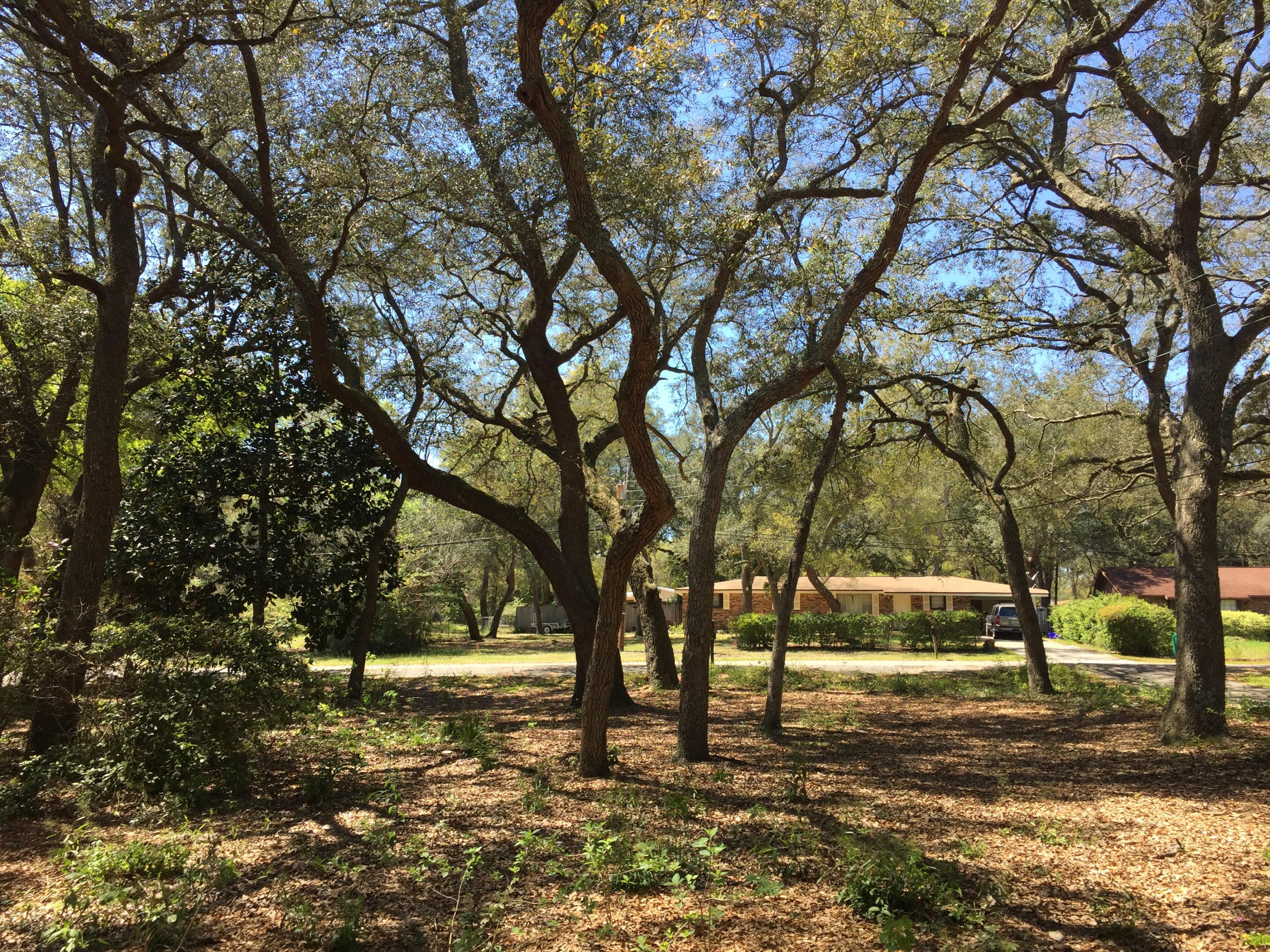 ROSEMONT S/D - Residential