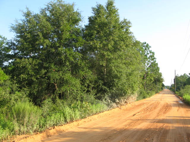 Nice wooded level lot on county maintained clay Rd. Electricity along road. Just west of Airport. Owner's may consider seller financing. Zoning is Rural Village in Walton County.