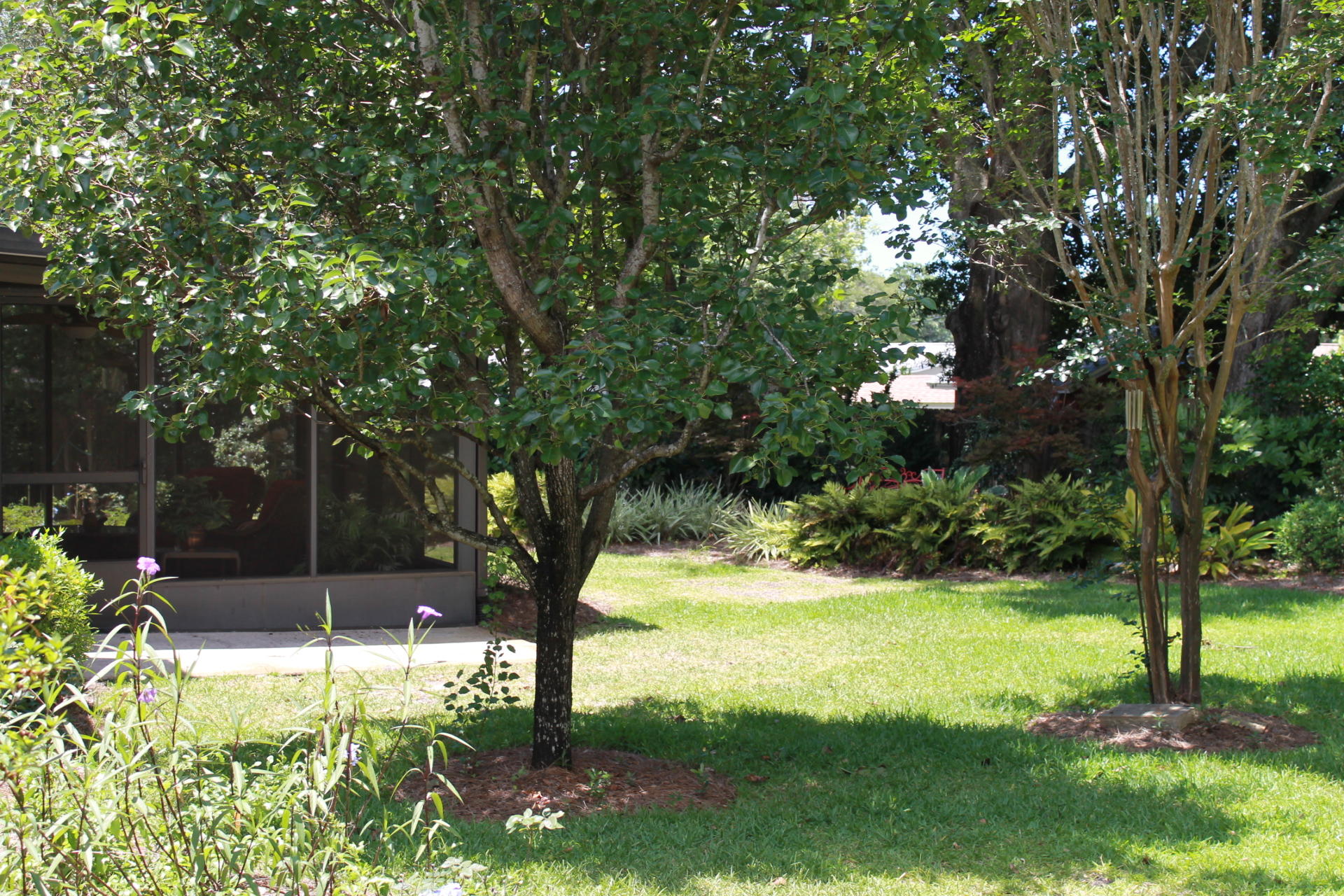 Scottsdale South Lot 9  Block B - Residential