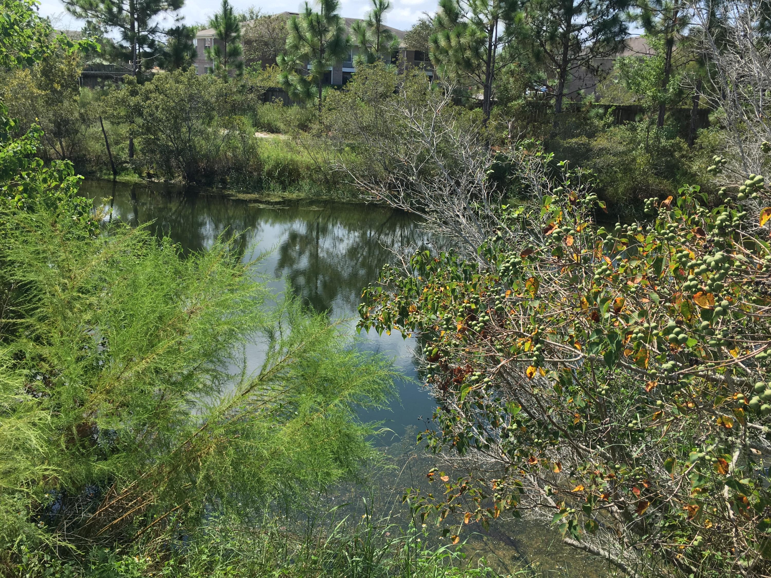 HIDDEN SHORES - Residential