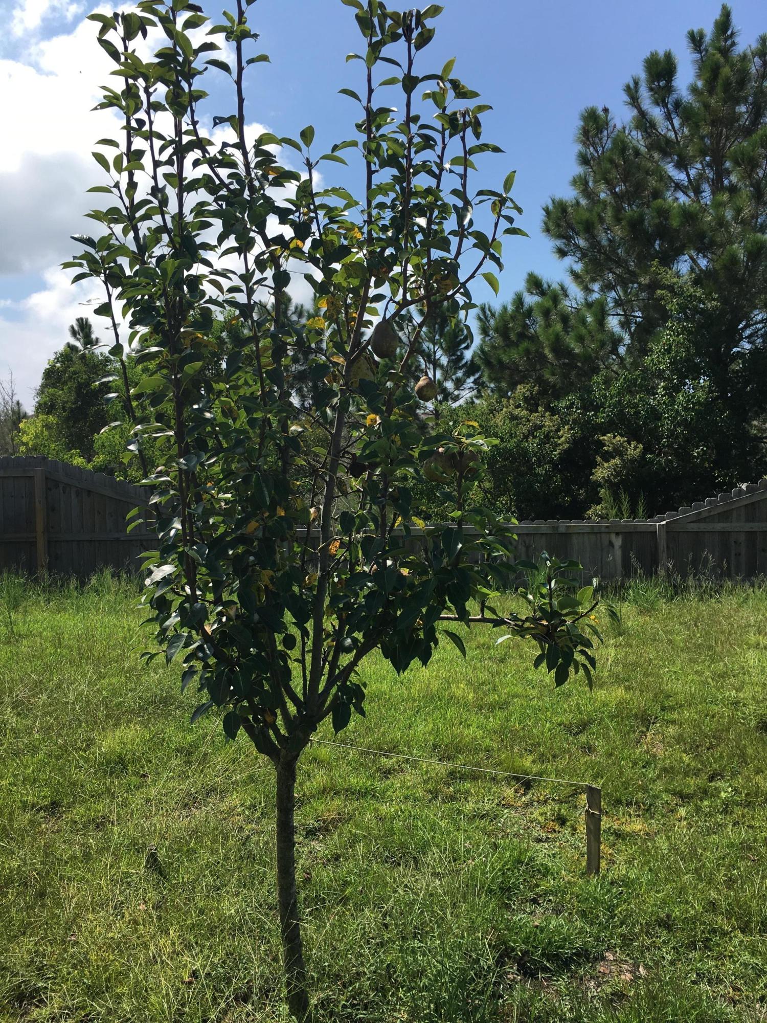 HIDDEN SHORES - Residential