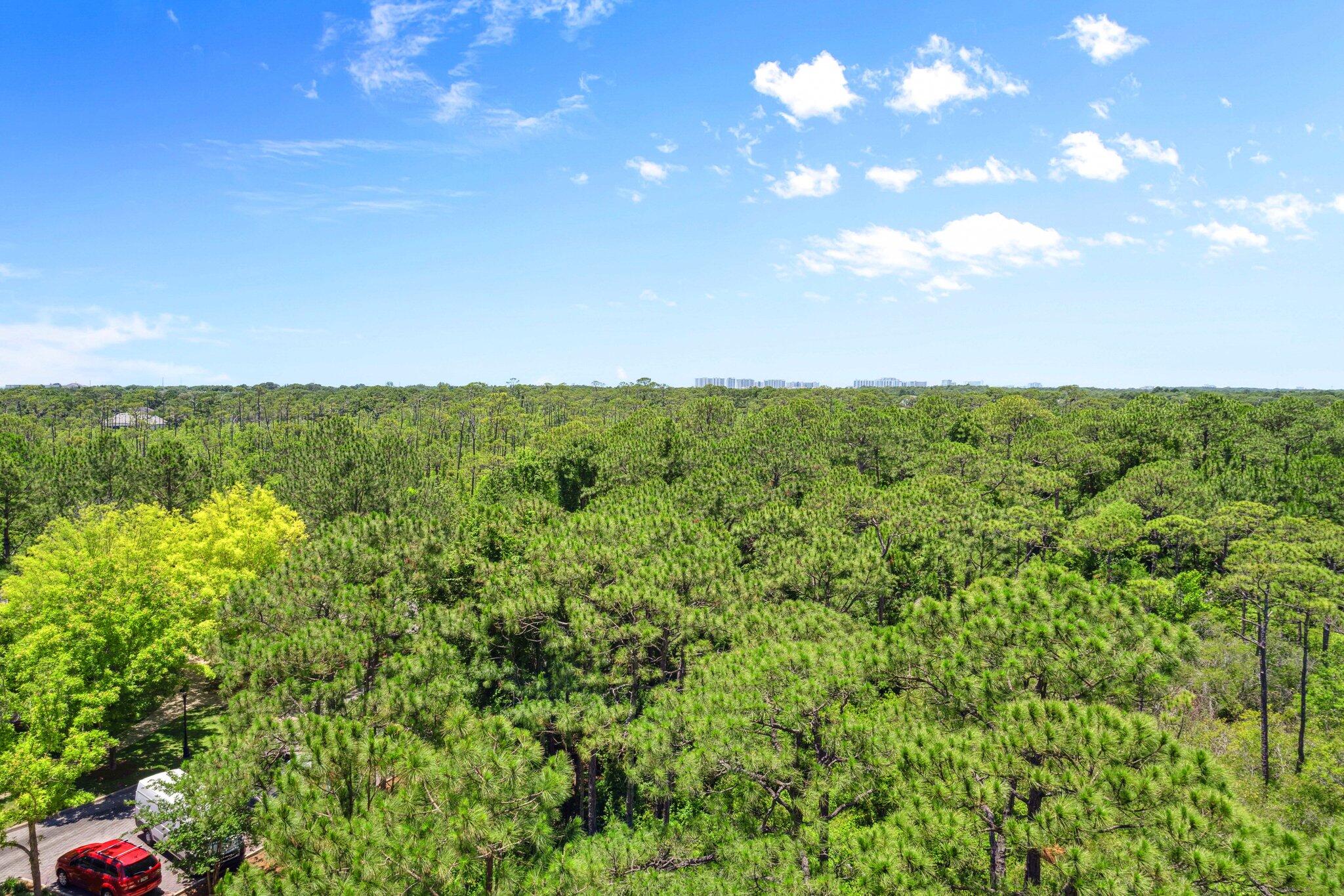 ONE WATER PLACE at Kelly Plantation - Residential