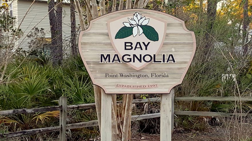 SELLER SAYS SELL! BUY NOW BEFORE IT'S TOO LATE!!! Build your dreams in Point Washington! Bay Magnolia is a premier community close to everything, yet away from it all. Bay Magnolia offers a serine, peaceful atmosphere tucked between the unspoiled Florida landscape of nature preserve, state forest, & the beauty of Choctawhatchee Bay. The community has a private neighborhood beach & Bay Front park with a gazebo & community dock. Truly a Boater's & Nature Lover's Paradise! Located close to Eden Gardens State Park, Point Washington State Forest, yet only 4 miles away from the ''Beach Life'' of HWY 30A, beaches, restaurants, and shopping! Seaside Community school offers an additional option for schooling. Large estate sized lot, .... MORE