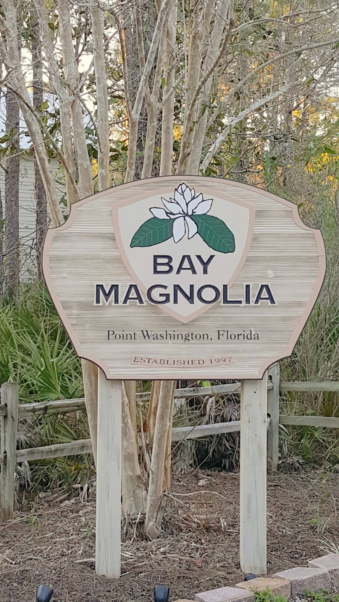 Bay Magnolia - Land