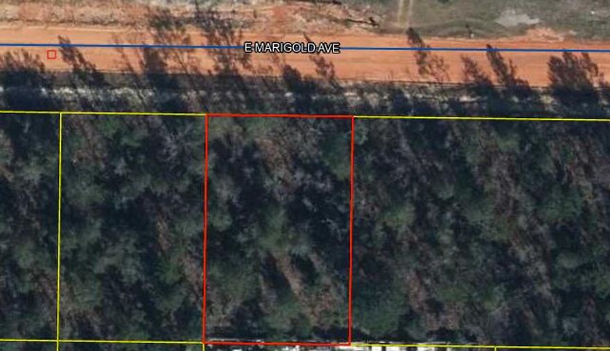 Fast Growing area of Mossy Head is perfectly situated off of Hwy 90 to allow for easy access to DeFuniak Springs and Crestview. Lot is on a small rise and level.  Manufactured homes are allowed, flood zone x and land use code is low density rural residential. Other lots available.
