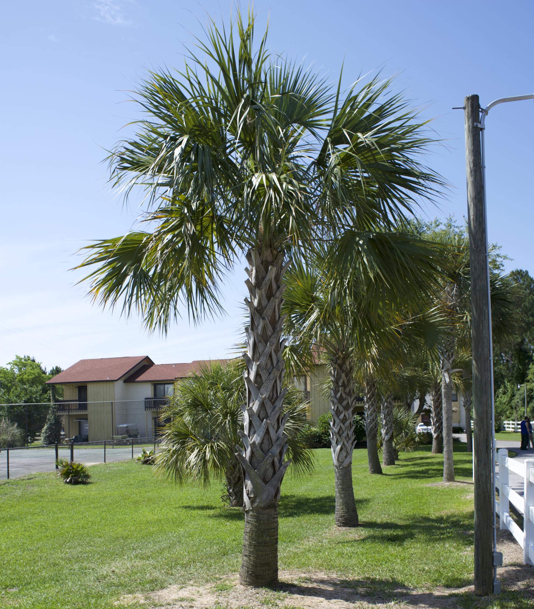 LA MAR WEST T/H PH II UNIT 303 - Residential