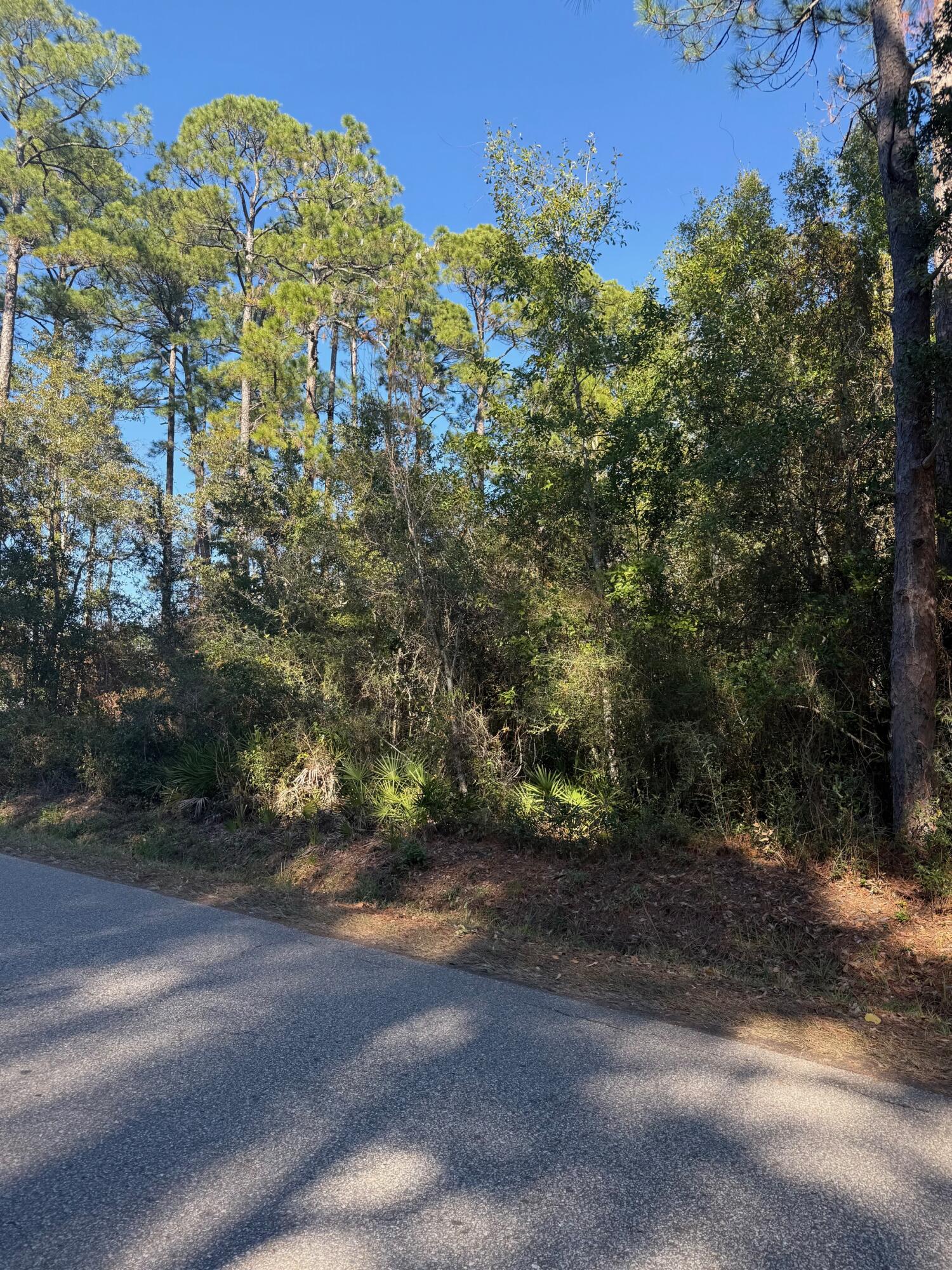 Nelson Street - Land