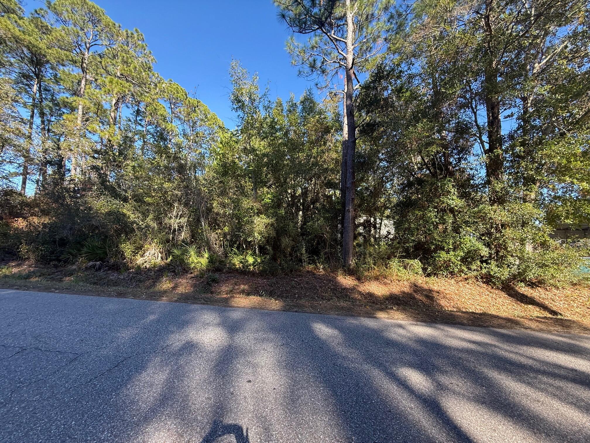 Nelson Street - Land