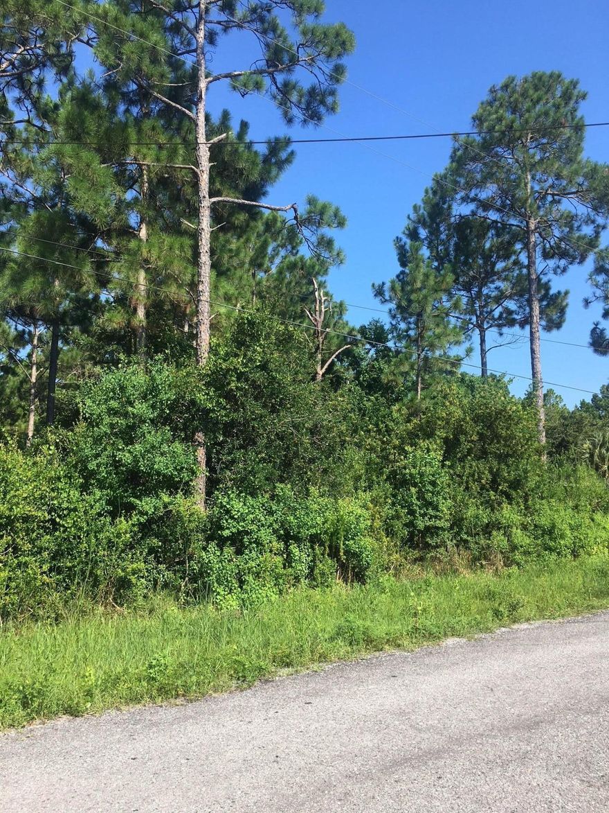 Nice wooded lot ready for a new home! Great location that is convenient to beaches, the bay, shopping, schools and is in within walking distance of Cessna Landing Park & Boat Ramp. No HOA. Lot 18 is available as well.