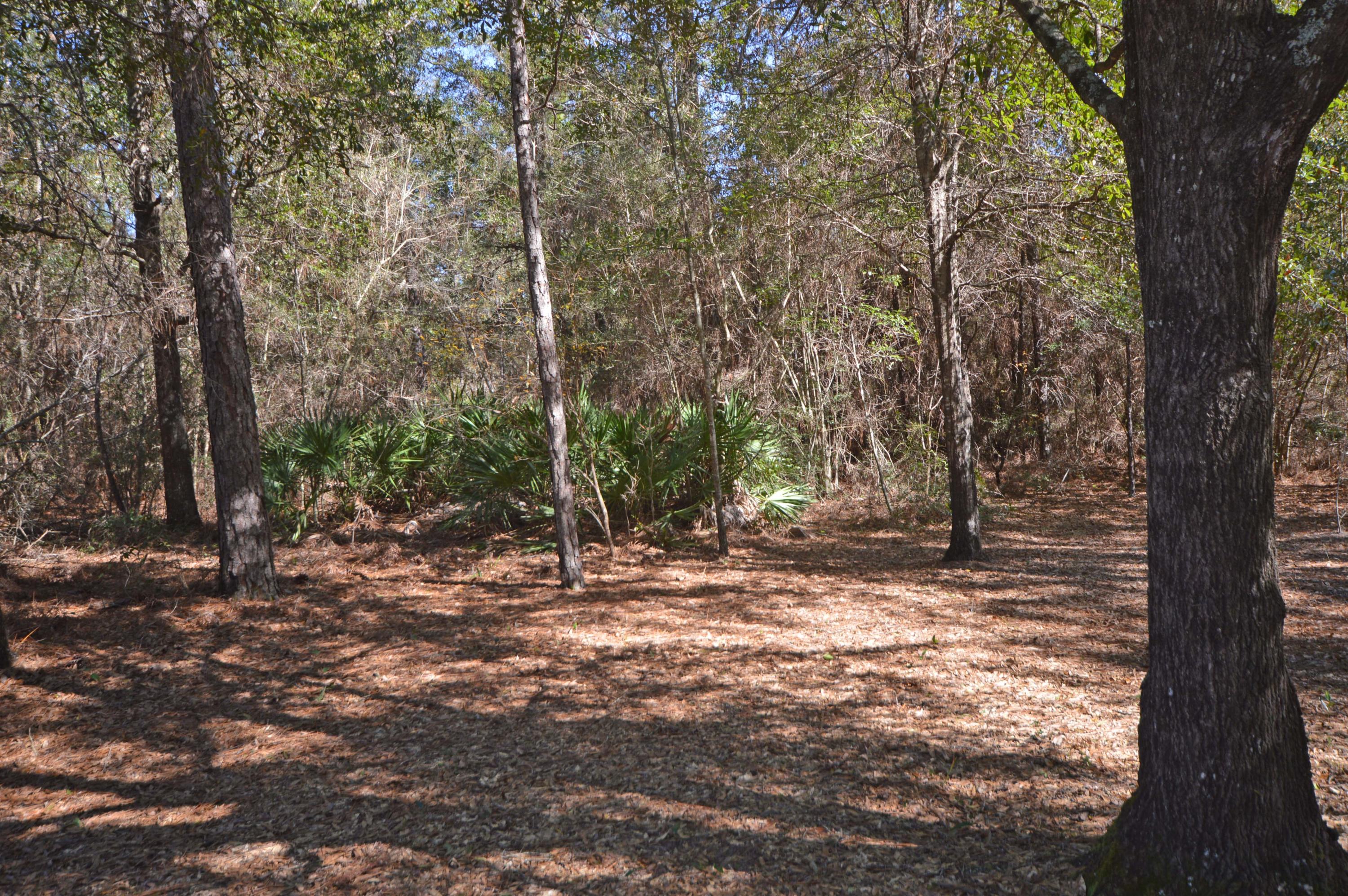 A great location,county maintained paved road, high flat and dry. Perfect location for easy access to I10. There are 2, 2 acre parcels. Survey complete. Zoned for manufactured homes. Bring the Horse, there is no restrictions and plenty of room on the back have to have a horse. Land backs up to Karen Estates that is land lock and accessible for fishing.