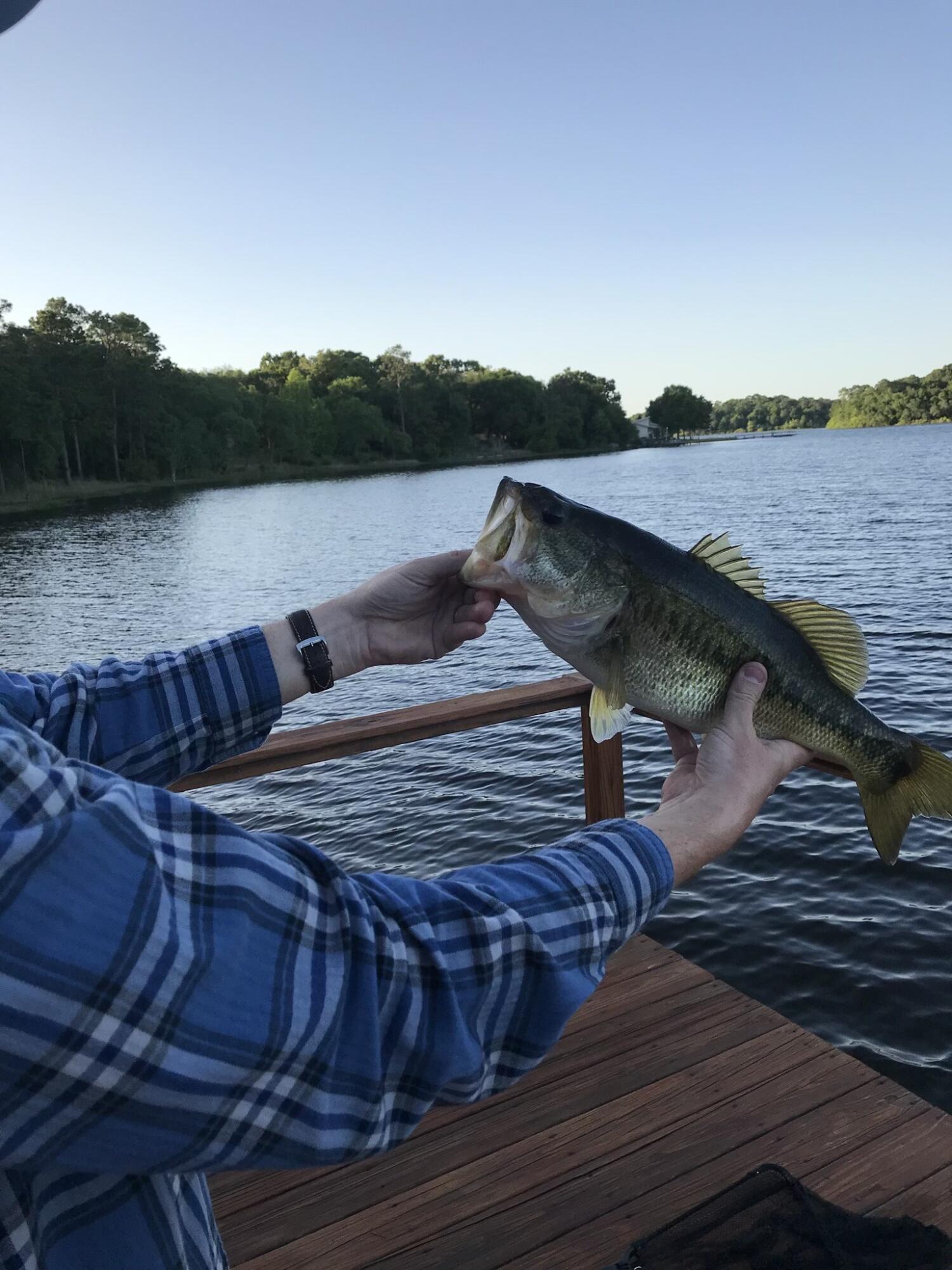 PIPERS LANDING - Residential