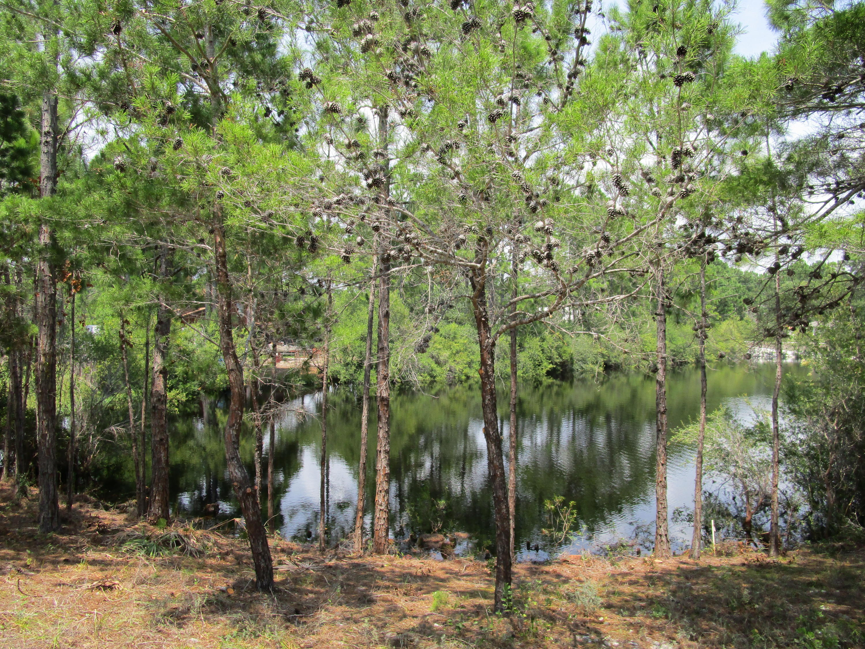 SANTA ROSA RIDGE UNIT 4 - Residential