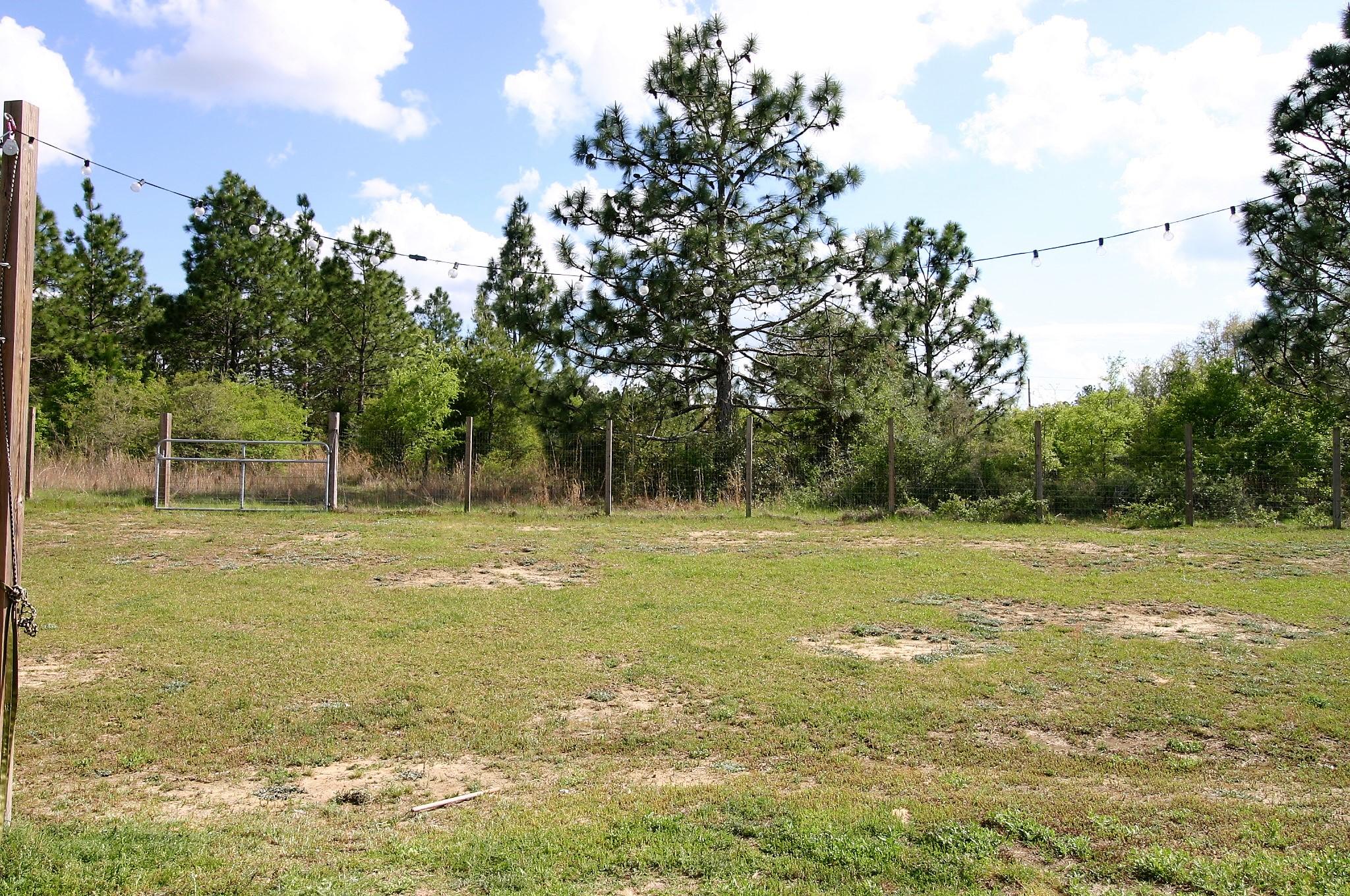 CARDINAL ESTATES - Residential Lease